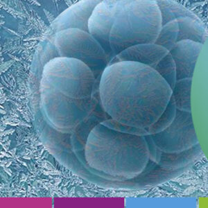 Congelación o criopreservación de embriones. ¿Qué es, en qué casos se recomienda, cuál es su utilidad?