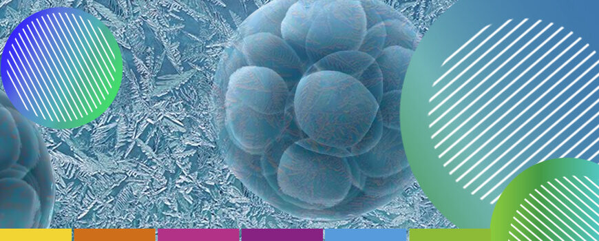 Congelación de embriones - Accuna